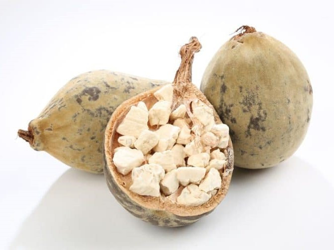 بائوباب