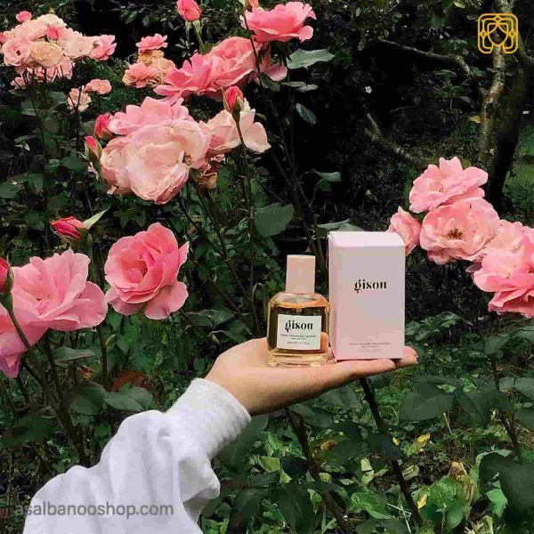 عطر مو گیسو 100ml