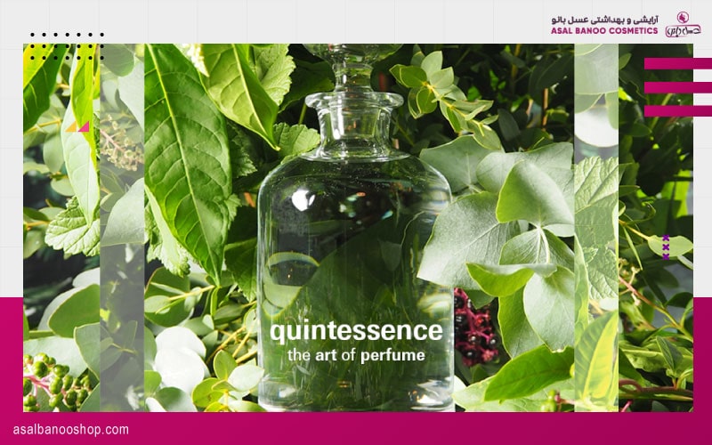 event-6-Quintessence ایونت Quintessence در نمایشگاه بیوتی ورد