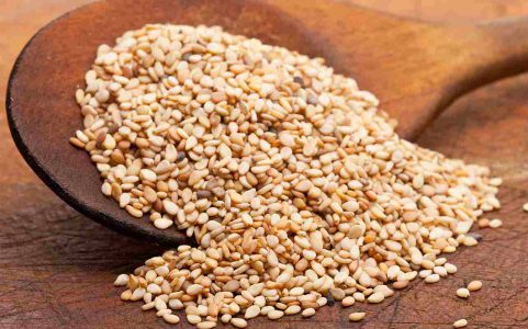 sesame-seeds-shutterstock-86999342_11zon