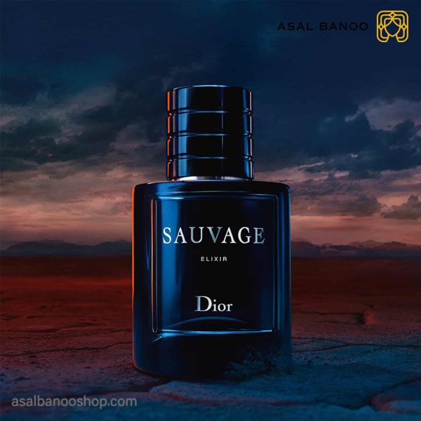 عطر ساواج دیور Elixir