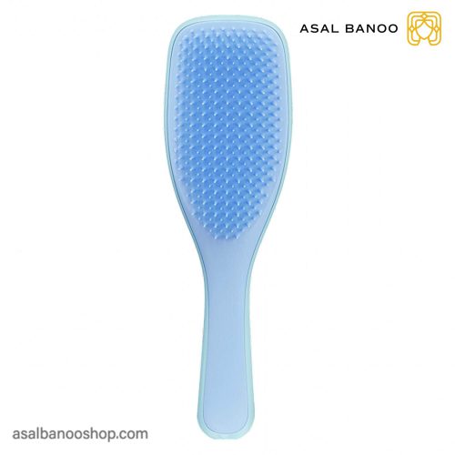 برس موهای خیس تنگل تیزر Wet Detangler