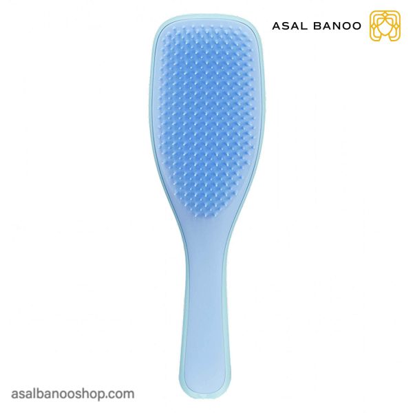برس موهای خیس تنگل تیزر Wet Detangler