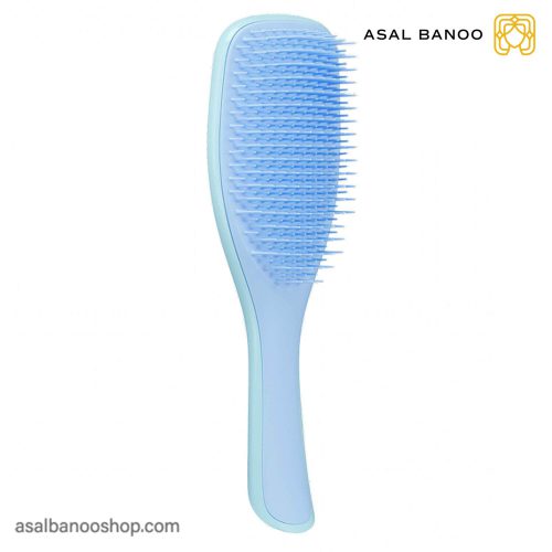 برس موهای خیس تنگل تیزر Wet Detangler