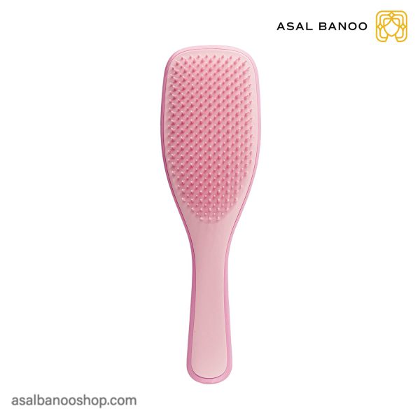 برس موهای خیس تنگل تیزر Fine and fragile