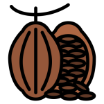 کره کاکائو بادی شاپ