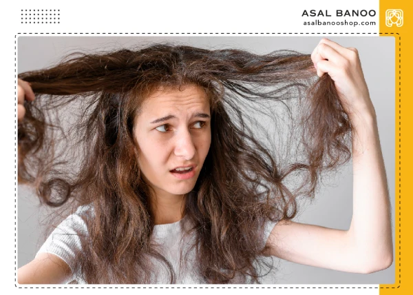 dry-hair موی خشک