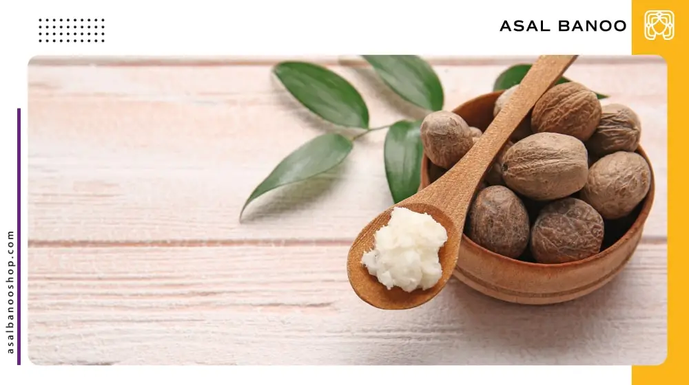 usage-shea-butter مزایای استفاده از کره شی
