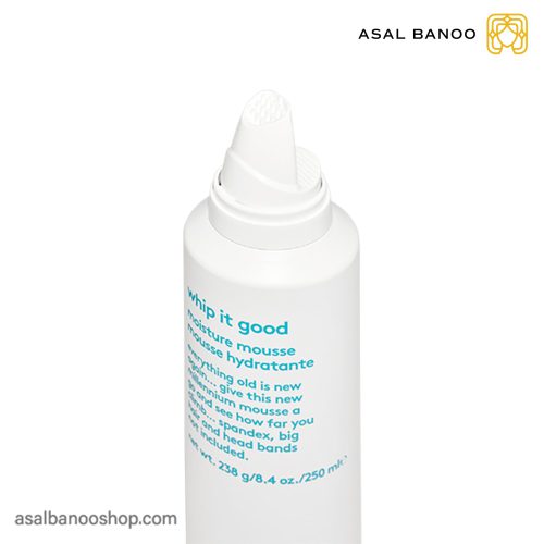 موس مو ایوو whip it good