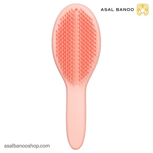 برس تنگل تیزر THE ULTIMATE STYLER