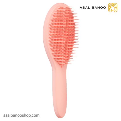برس تنگل تیزر THE ULTIMATE STYLER