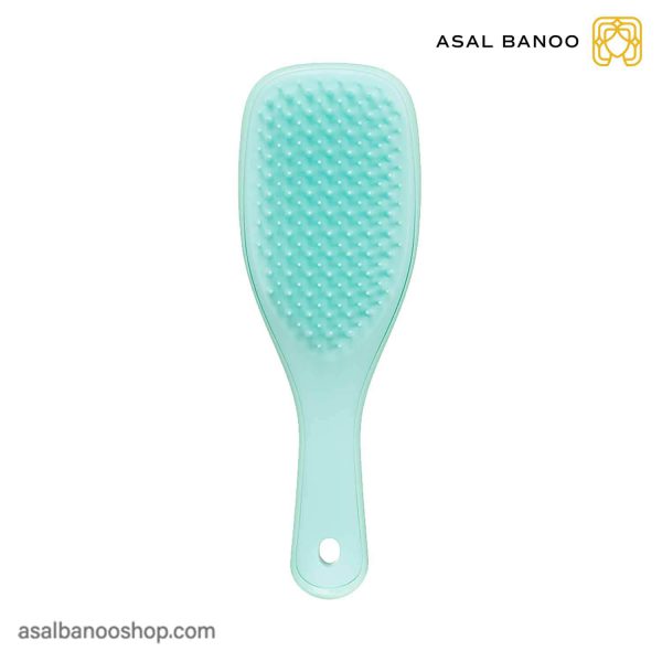 برس مینی موهای خیس تنگل تیزر Wet Detangler