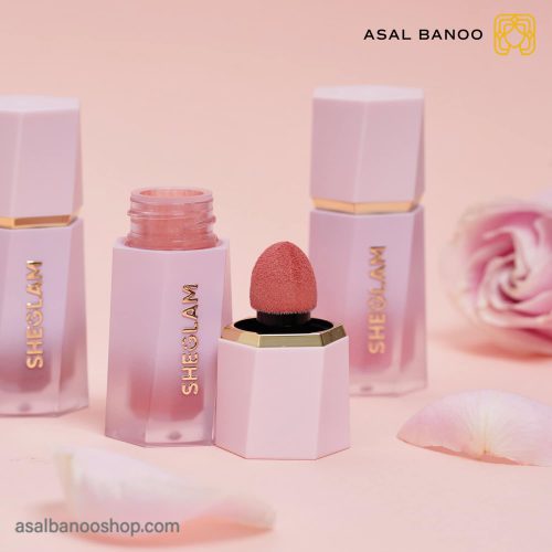 رژ گونه شیگلم