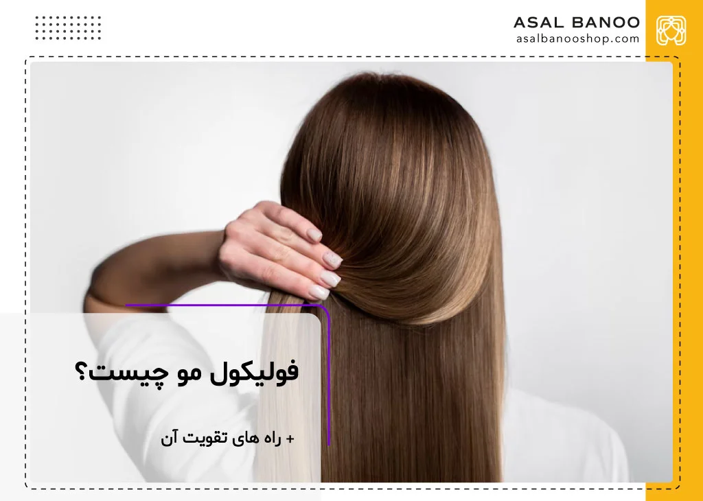فولیکول مو چیست؟