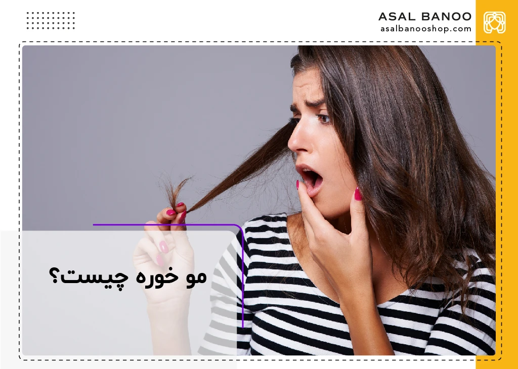 موخوره چیست؟