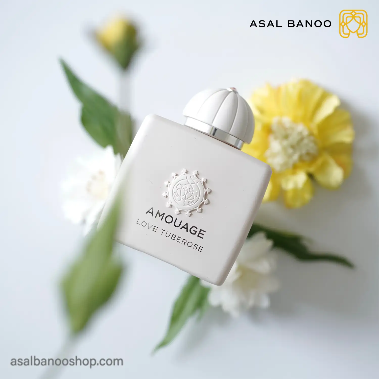عطر آمواج لاو تیوبرز