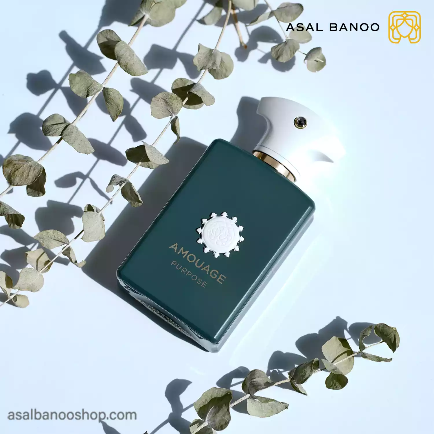 عطر آمواج پورپوس عطر آمواج پرپس Purpose